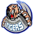 AzamTigersFC