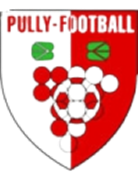 PullyFootball